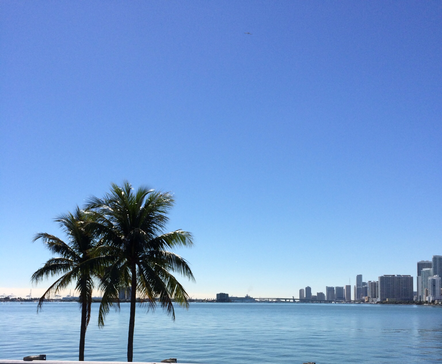 Hello Miami
