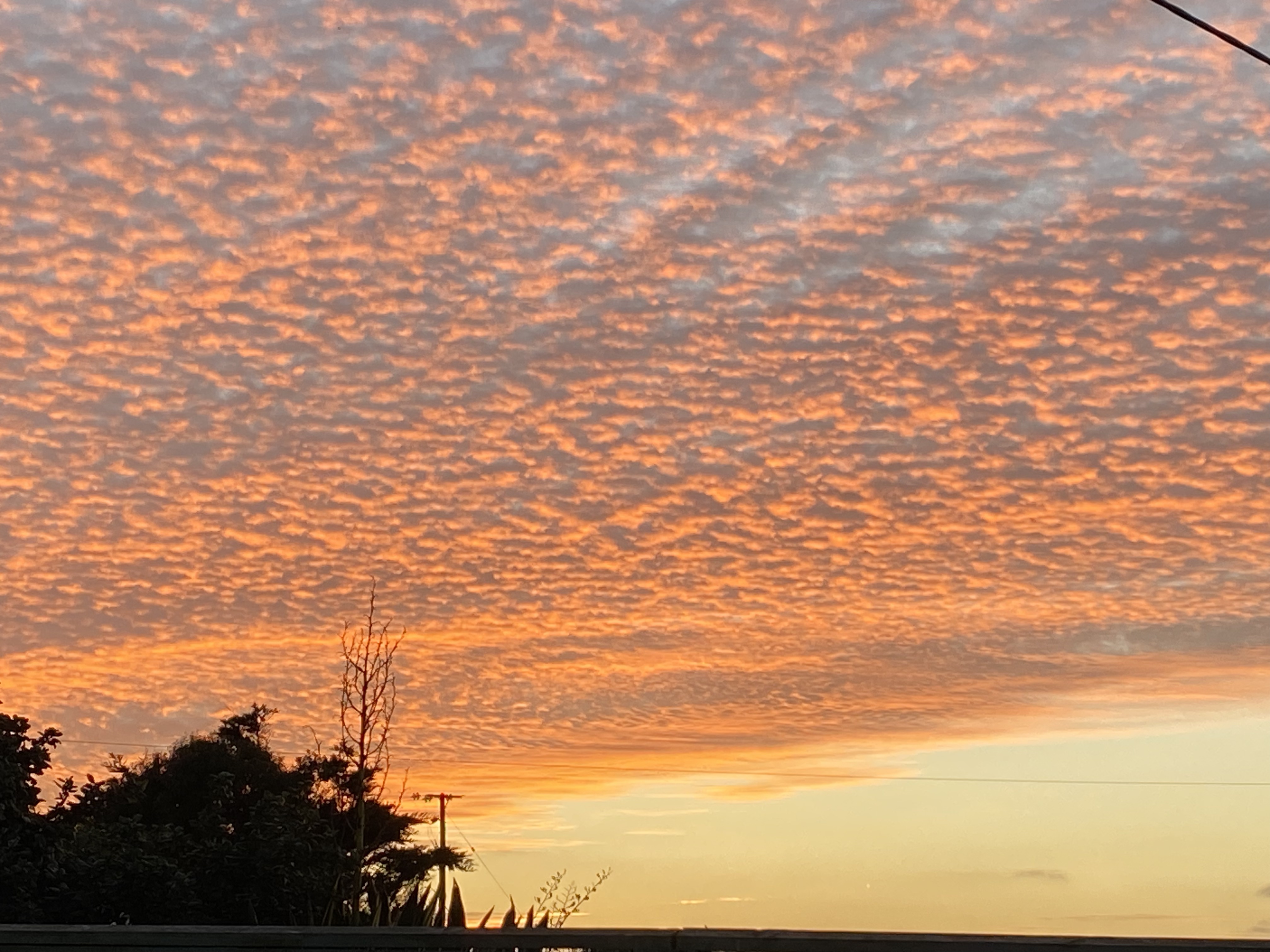 Make peace with your past.